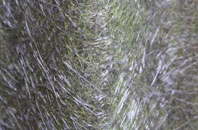 Bonby fibreglass roof work