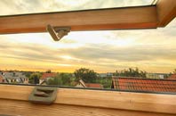 rated Bonby roof window companies